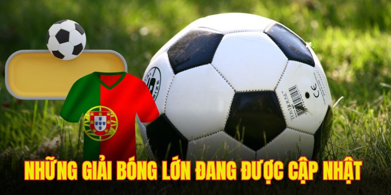 Ngoại hạng Anh là giải bóng danh giá với hàng triệu fan hâm mộ theo dõi